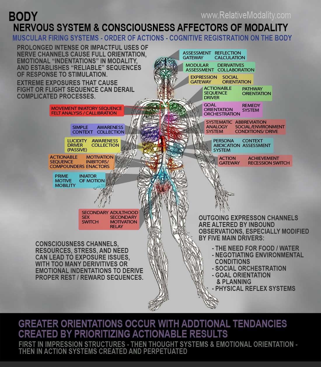 Human Nervous system with focal points of nervous activity outlined. These focal points center around major iniators of action and emtion, such as the heart, stomach, abdominal muscles, seat of the abdomen, upper thighs, chest, throat, brain, and facial structures