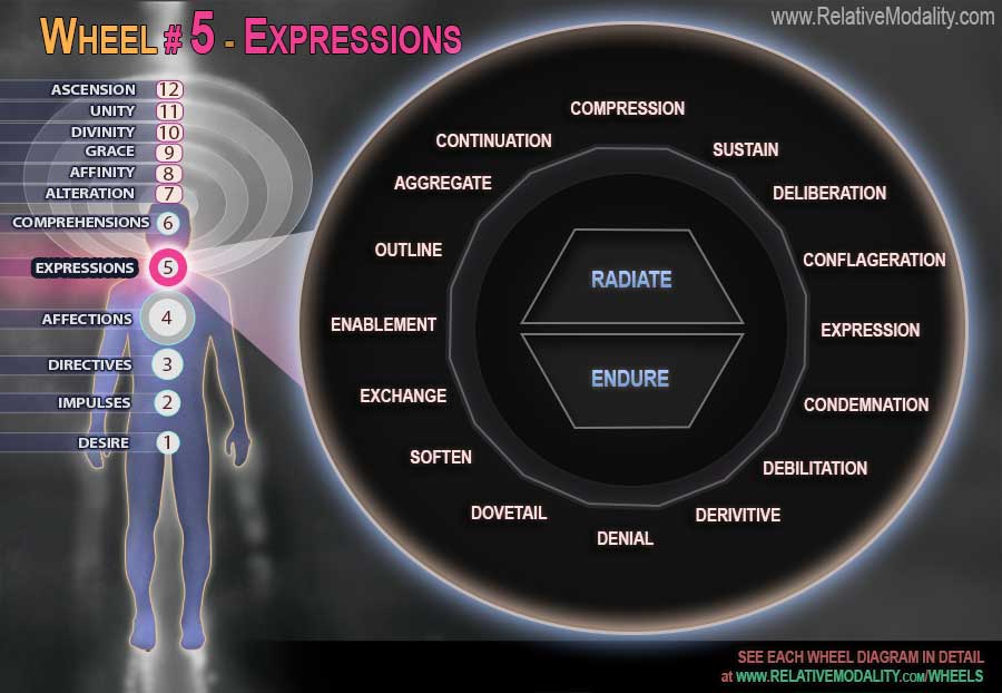 5-WHEEL---EXPRESSIONS-web1